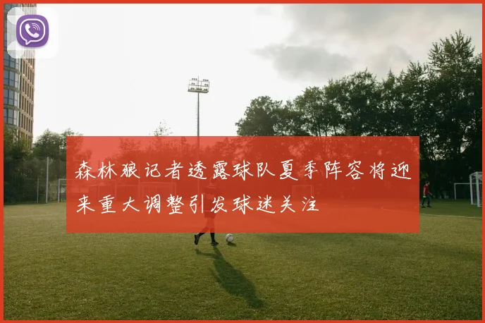 森林狼记者透露球队夏季阵容将迎来重大调整引发球迷关注