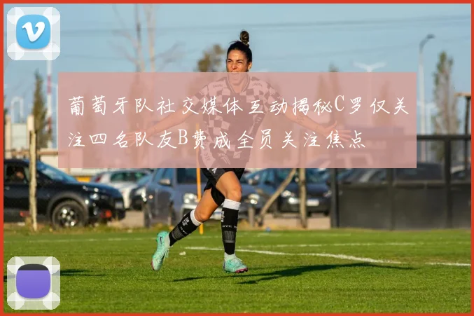葡萄牙队社交媒体互动揭秘C罗仅关注四名队友B费成全员关注焦点