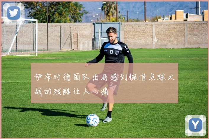 伊布对德国队出局感到惋惜点球大战的残酷让人心痛