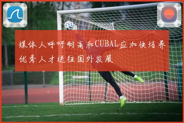 媒体人呼吁耐高和CUBAL应加快培养优秀人才送往国外发展