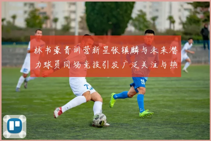 林书豪青训营新星张镇麟与未来潜力球员同场竞技引发广泛关注与热议