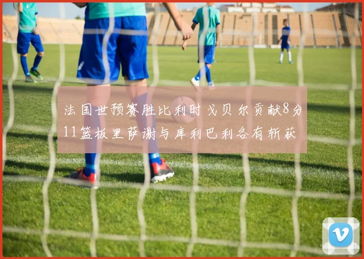 法国世预赛胜比利时戈贝尔贡献8分11篮板里萨谢与库利巴利各有斩获